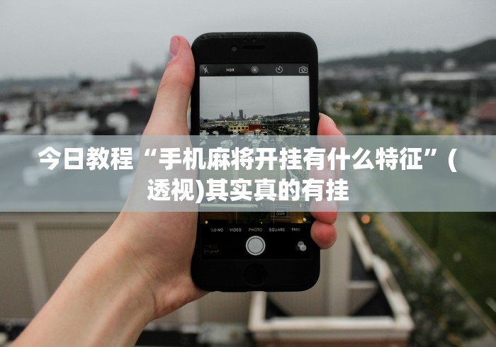 分析必看“微乐踢坑麻将怎么开挂”(透视)其实真的有挂