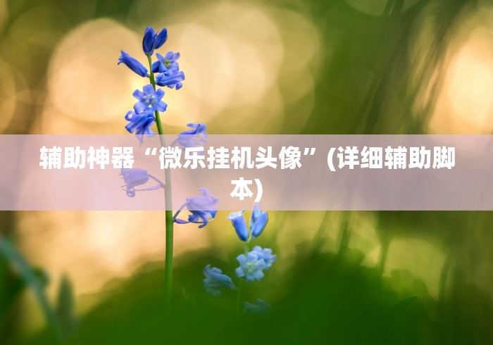 辅助神器“微乐挂机头像	”(详细辅助脚本)