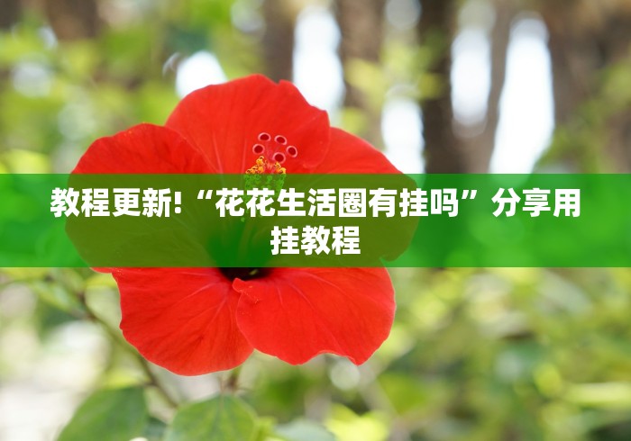 教程更新!“花花生活圈有挂吗”分享用挂教程