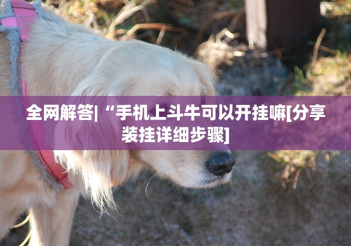 全网解答|“手机上斗牛可以开挂嘛[分享装挂详细步骤]