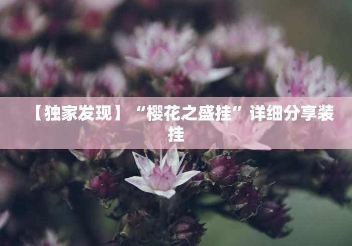 【独家发现】“樱花之盛挂”详细分享装挂