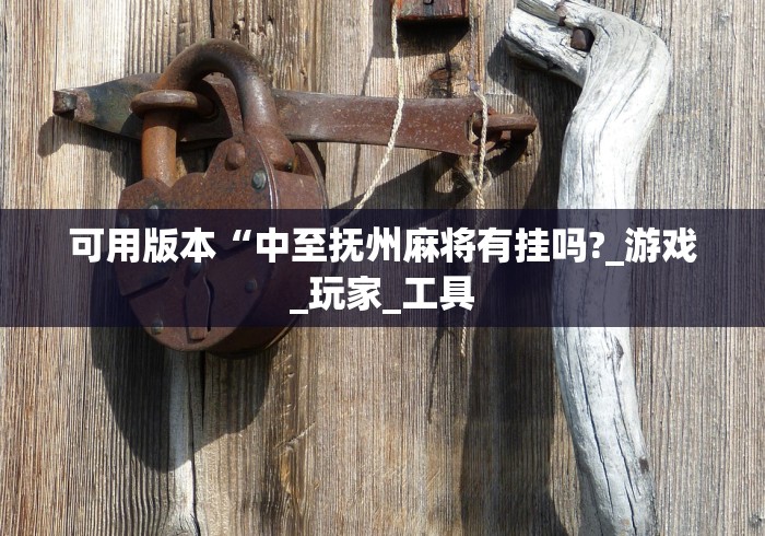 可用版本“中至抚州麻将有挂吗?_游戏_玩家_工具 可用版本“中至抚州麻将有挂吗?_游戏_玩家_工具