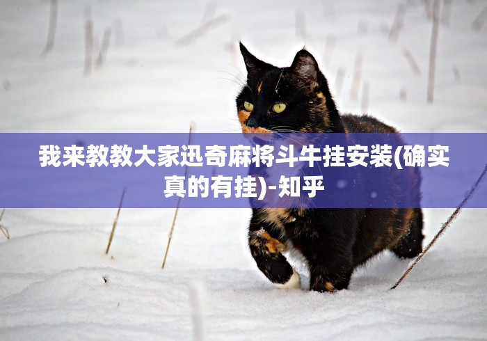 我来教教大家迅奇麻将斗牛挂安装(确实真的有挂)-知乎 我来教教大家迅奇麻将斗牛挂安装(确实真的有挂)-知乎