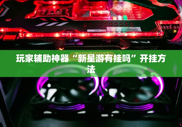玩家辅助神器“新星游有挂吗”开挂方法