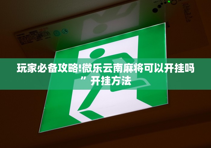 玩家必备攻略!微乐云南麻将可以开挂吗”开挂方法
