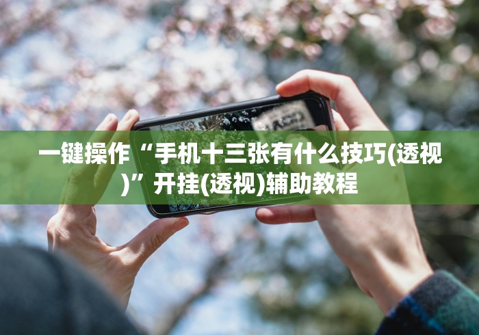 一键操作“手机十三张有什么技巧(透视)	”开挂(透视)辅助教程